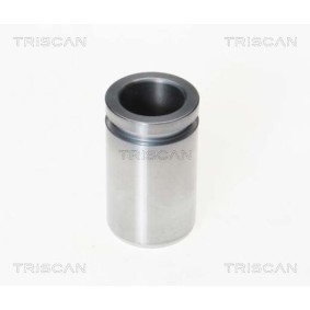 Compre Interruptor de temperatura, ventilador do radiador da TRISCAN 8625 106090 a um preço baixo por 16,29 €