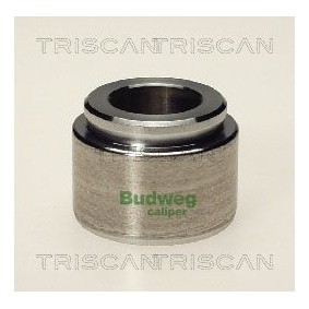 Compre Interruptor de temperatura, ventilador do radiador da TRISCAN 8625 44092 a um preço baixo por 17,20 €