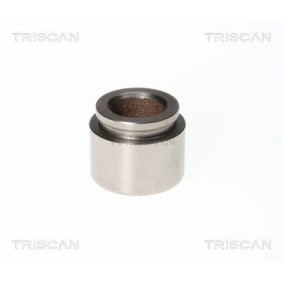 Comprar Interruptor de temperatura, ventilador del radiador de TRISCAN 8625 64100 a bajo precio de 21,41 €