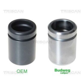 Temperaturschalter, Kühlerlüfter 8625 66085 von TRISCAN günstig für 15,64 € online kaufen