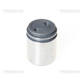 Acquista Bulbo ventola radiatore da TRISCAN online per Movano Ribaltabile (X70) a prezzi moderati