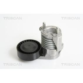 Spannarm, Keilrippenriemen 8641 103025 von TRISCAN günstig für 91,37 € online kaufen