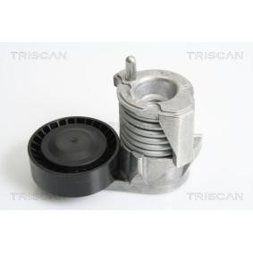 Spannarm, Keilrippenriemen 8641 103029 von TRISCAN günstig für 89,70 € online kaufen