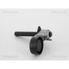 Achetez des Galet tendeur de courroie d'accessoire TRISCAN 8641 113039 à prix pour 92,67 €
