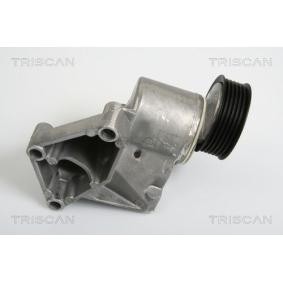 Spannarm, Keilrippenriemen 8641 163007 von TRISCAN günstig für 82,10 € online kaufen