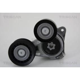 Spannarm, Keilrippenriemen 8641 163016 von TRISCAN günstig für 105,58 € online kaufen