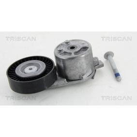Spannarm, Keilrippenriemen 8641 163019 von TRISCAN günstig für 83,78 € online kaufen