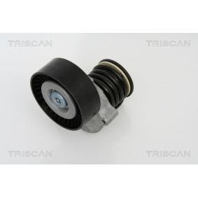 Acquista Braccio tenditore, Cinghia Poly-V da TRISCAN 8641 233007 a buon mercato per soli 121,31 €