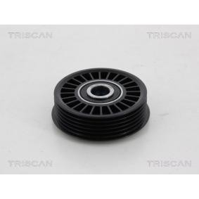 Umlenk- / Führungsrolle, Keilrippenriemen 8641 291009 von TRISCAN günstig für 22,86 € online kaufen