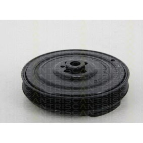 Compre Polia, cambota da TRISCAN 8643 10007 a um preço baixo por 172,59 €