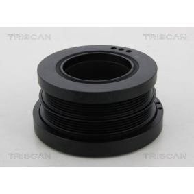 Compre Polia, cambota da TRISCAN 8643 11004 a um preço baixo por 368,34 €