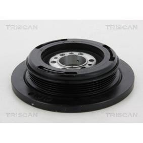 Compre Polia, cambota da TRISCAN 8643 11005 a um preço baixo por 303,05 €