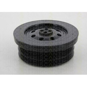 Achetez des Poulie damper (vilebrequin) TRISCAN 8643 11007 à prix pour 344,48 €
