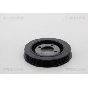 Compre Polia, cambota da TRISCAN 8643 28003 a um preço baixo por 131,25 €