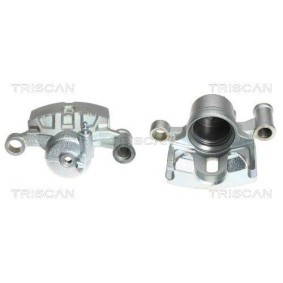 Spannrolle, Zahnriemen 8646 16113 von TRISCAN günstig für 36,46 € online kaufen