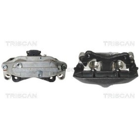 Spannrolle, Zahnriemen 8646 16209 von TRISCAN günstig für 32,44 € online kaufen
