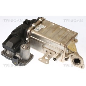 Compre Jogo de correias dentadas da TRISCAN 8647 29070 a um preço baixo por 387,39 €