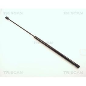 Heckklappendämpfer 8710 1112 von TRISCAN günstig für 55,31 € online kaufen