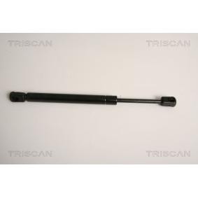 Heckklappendämpfer 8710 11211 von TRISCAN günstig für 45,98 € online kaufen