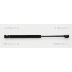 Heckklappendämpfer 8710 11238 von TRISCAN günstig für 12,84 € online kaufen