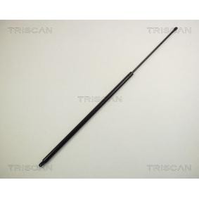 Heckklappendämpfer 8710 1201 von TRISCAN günstig für 35,59 € online kaufen