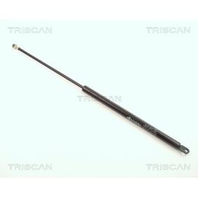 Heckklappendämpfer 8710 1203 von TRISCAN günstig für 72,08 € online kaufen