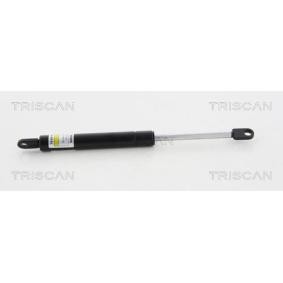 Acquista Ammortizzatore pneumatico cofano motore da TRISCAN 8710 12106 a buon mercato per soli 13,57 €