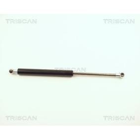 Heckklappendämpfer 8710 12204 von TRISCAN günstig für 62,98 € online kaufen