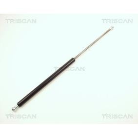Heckklappendämpfer 8710 12205 von TRISCAN günstig für 11,46 € online kaufen