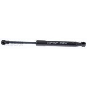 Heckklappendämpfer 8710 12207 von TRISCAN günstig für 17,53 € online kaufen