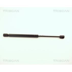 Heckklappendämpfer 8710 12209 von TRISCAN günstig für 24,89 € online kaufen