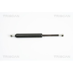 Heckklappendämpfer 8710 12211 von TRISCAN günstig für 27,29 € online kaufen