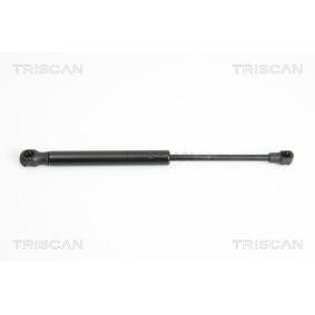 Heckklappendämpfer 8710 12212 von TRISCAN günstig für 17,34 € online kaufen