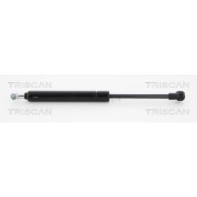 Heckklappendämpfer 8710 12214 von TRISCAN günstig für 15,87 € online kaufen
