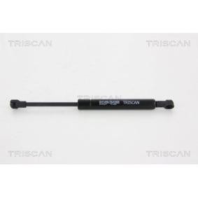 Heckklappendämpfer 8710 12215 von TRISCAN günstig für 57,18 € online kaufen
