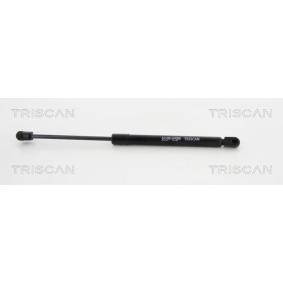 Heckklappendämpfer 8710 12217 von TRISCAN günstig für 15,28 € online kaufen
