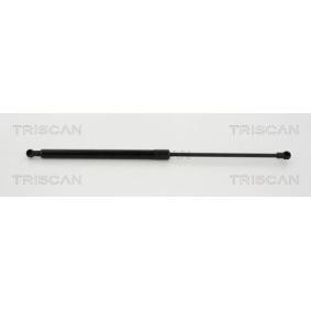 Heckklappendämpfer 8710 12219 von TRISCAN günstig für 21,26 € online kaufen