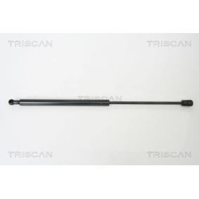 Heckklappendämpfer 8710 13266 von TRISCAN günstig für 30,97 € online kaufen
