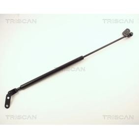 Heckklappendämpfer 8710 14203 von TRISCAN günstig für 19,25 € online kaufen