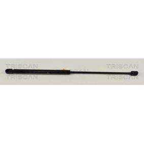 Heckklappendämpfer 8710 14228 von TRISCAN günstig für 72,08 € online kaufen