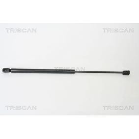 Heckklappendämpfer 8710 14243 von TRISCAN günstig für 30,82 € online kaufen