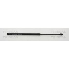 Heckklappendämpfer 8710 14247 von TRISCAN günstig für 41,21 € online kaufen