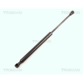 Heckklappendämpfer 8710 15221 von TRISCAN günstig für 13,51 € online kaufen