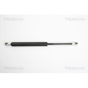 Heckklappendämpfer 8710 15230 von TRISCAN günstig für 59,05 € online kaufen