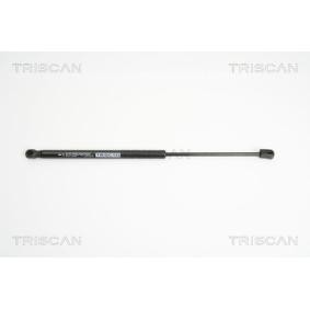 Heckklappendämpfer 8710 15235 von TRISCAN günstig für 18,89 € online kaufen
