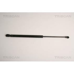 Heckklappendämpfer 8710 15241 von TRISCAN günstig für 57,18 € online kaufen