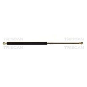 Heckklappendämpfer 8710 16220 von TRISCAN günstig für 11,93 € online kaufen