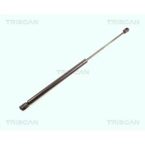 Heckklappendämpfer 8710 16230 von TRISCAN günstig für 22,73 € online kaufen
