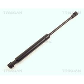 Heckklappendämpfer 8710 16234 von TRISCAN günstig für 49,76 € online kaufen