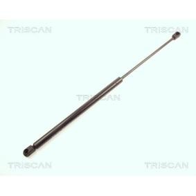 Heckklappendämpfer 8710 16236 von TRISCAN günstig für 28,63 € online kaufen